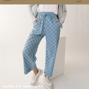 NWOT Albion Fit Audrey WIDE LEG trouser MP 24” inseam